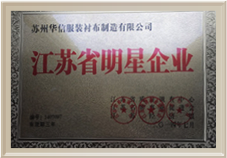 江苏省明星企业